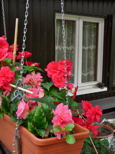  - 2017 - 03 - Toamna