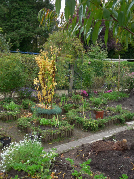  - 2017 - 03 - Toamna