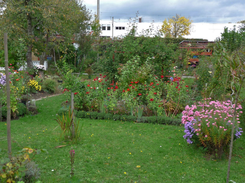  - 2017 - 03 - Toamna