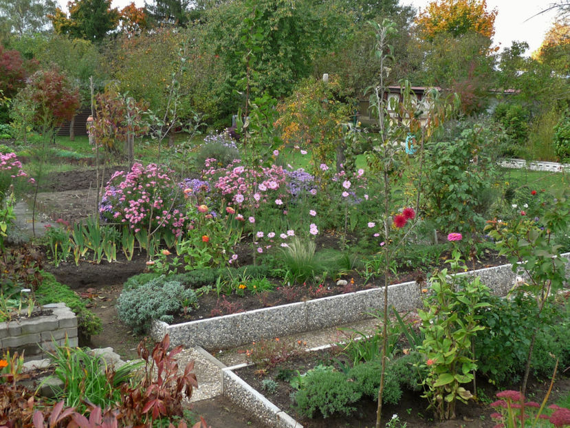  - 2017 - 03 - Toamna