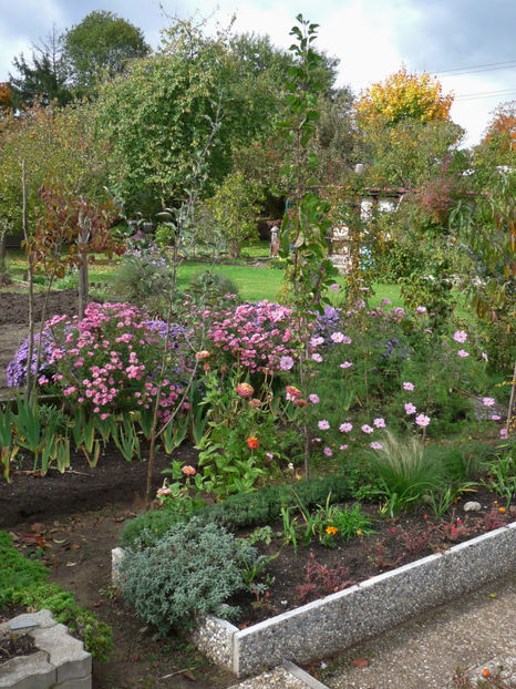  - 2017 - 03 - Toamna