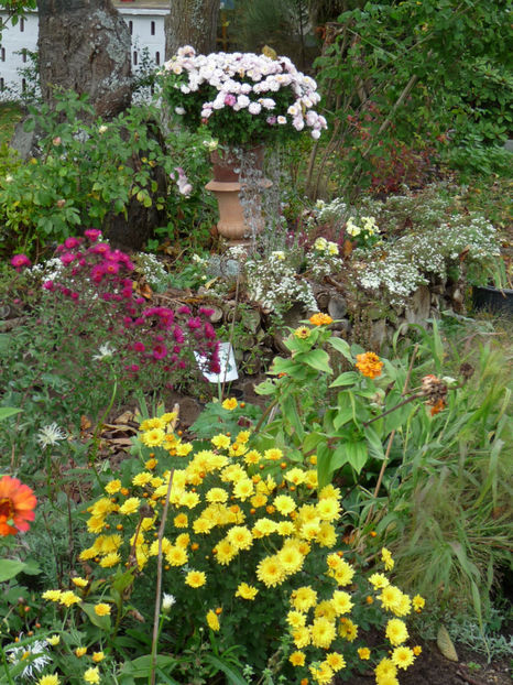  - 2017 - 03 - Toamna