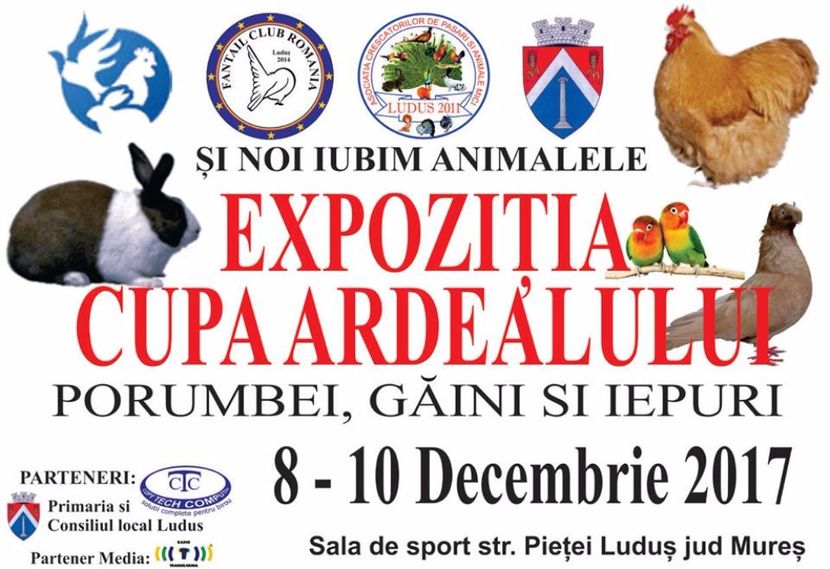  - T--TARGURI SI EXPOZITII