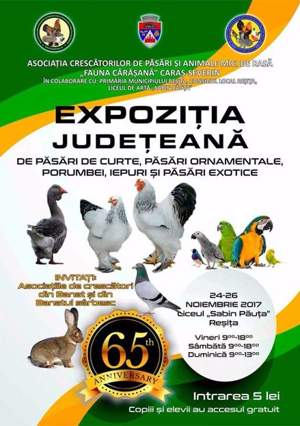  - T--TARGURI SI EXPOZITII