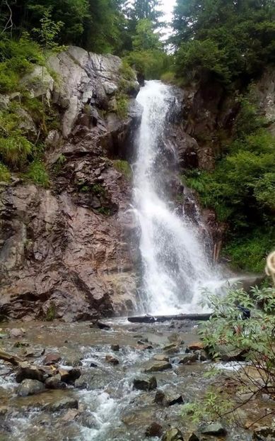  - 2017 hai hui în munții Apuseni