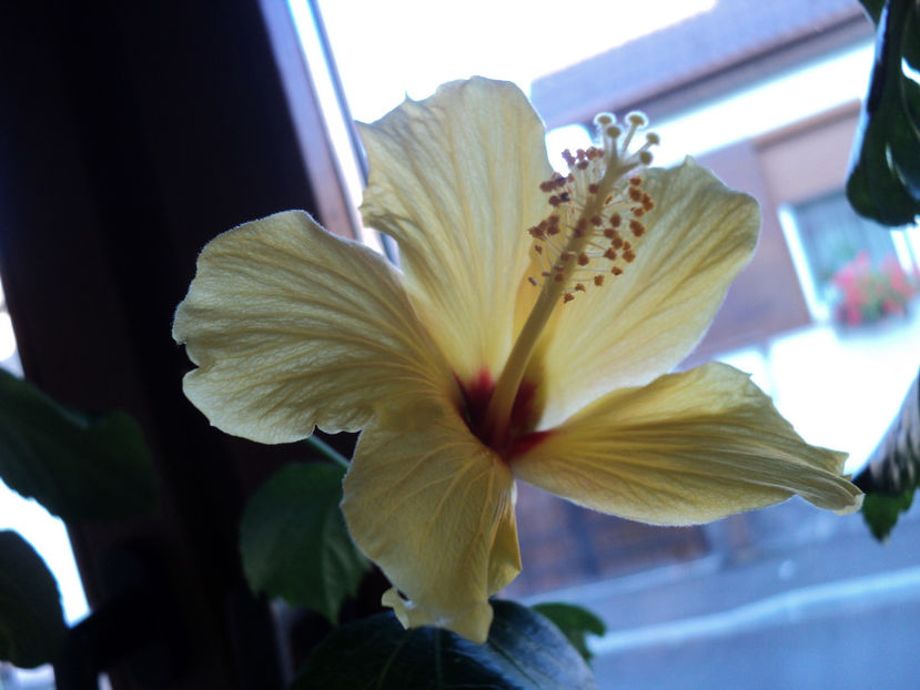 17 oct 2017... - Kim pierdut