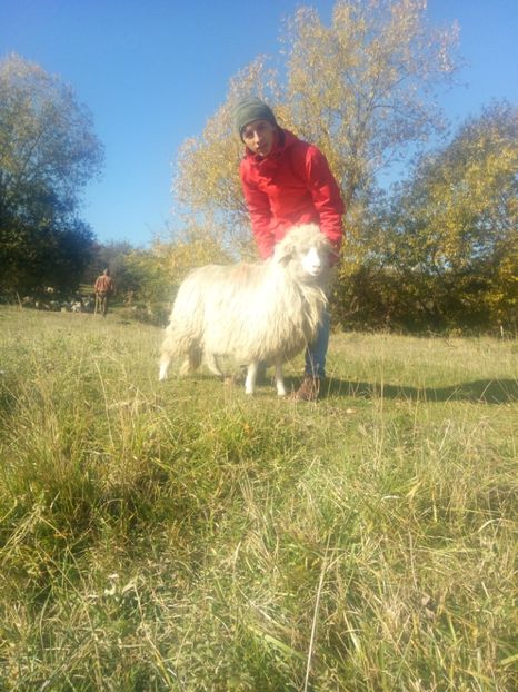 - Turcana alba