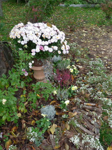  - 2017 - 03 - Toamna