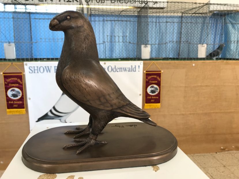 735B64F8-B253-4AFB-8BBB-56431FF7A222 - American Show Racer  STANDARD