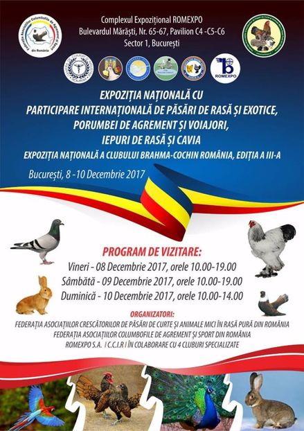  - T--TARGURI SI EXPOZITII