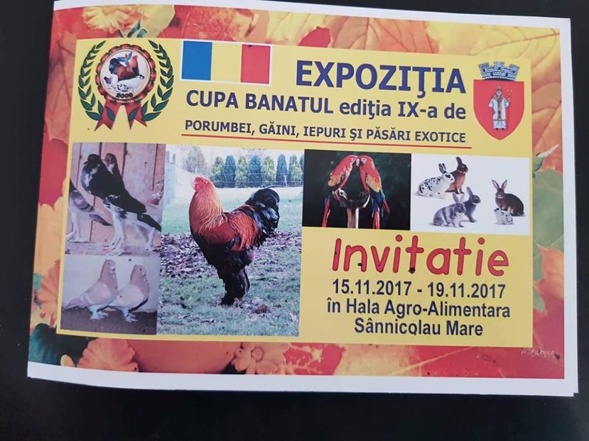 - T--TARGURI SI EXPOZITII