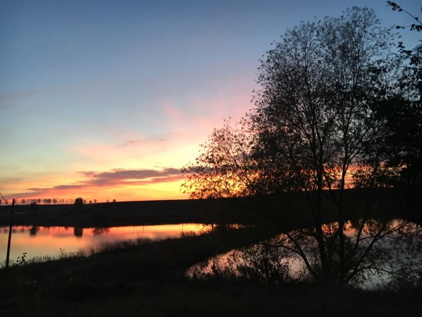 16.10.17 - Apus  de soare