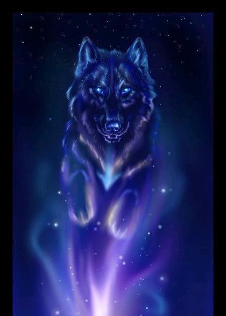 UpcloseofWolfintheStars1 - Aylmao