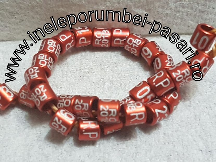 2017-10-19_20-21-26-419 - Inele pasari exotice Personalizate