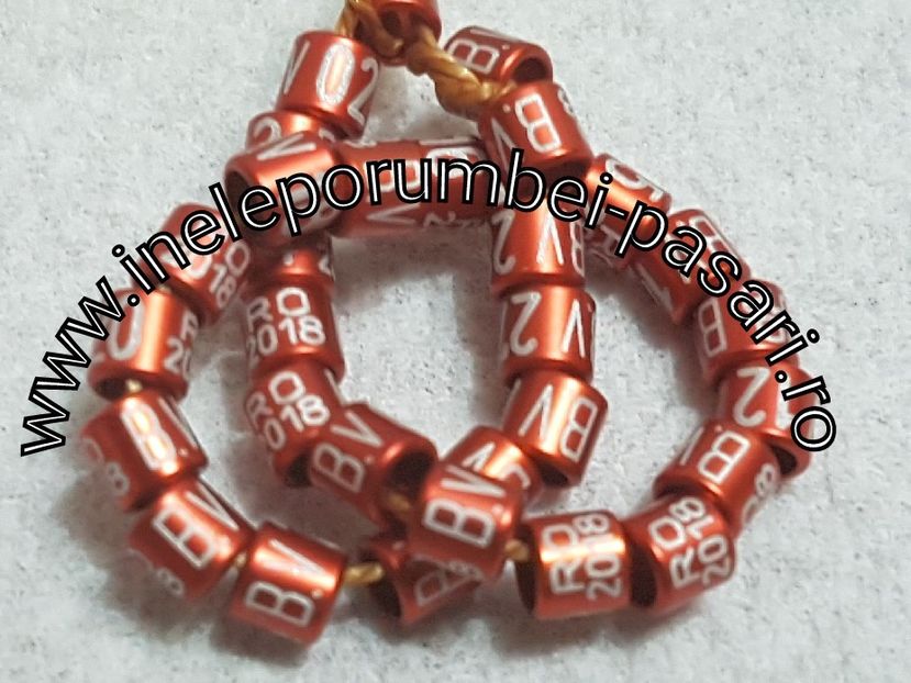 2017-10-19_20-20-57-391 - Inele pasari exotice Personalizate