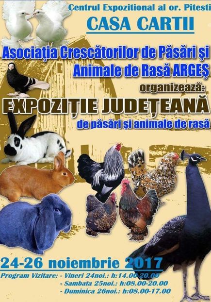 Expoziția Județeana Pitesti - Expoziția Județeana Pitesti 2017