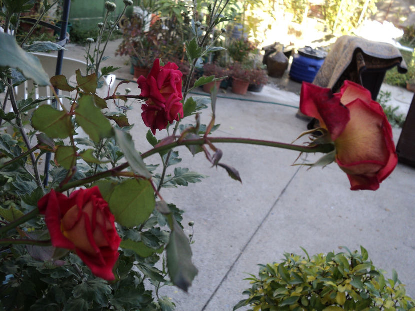 20 oct 2017 - Magic hit