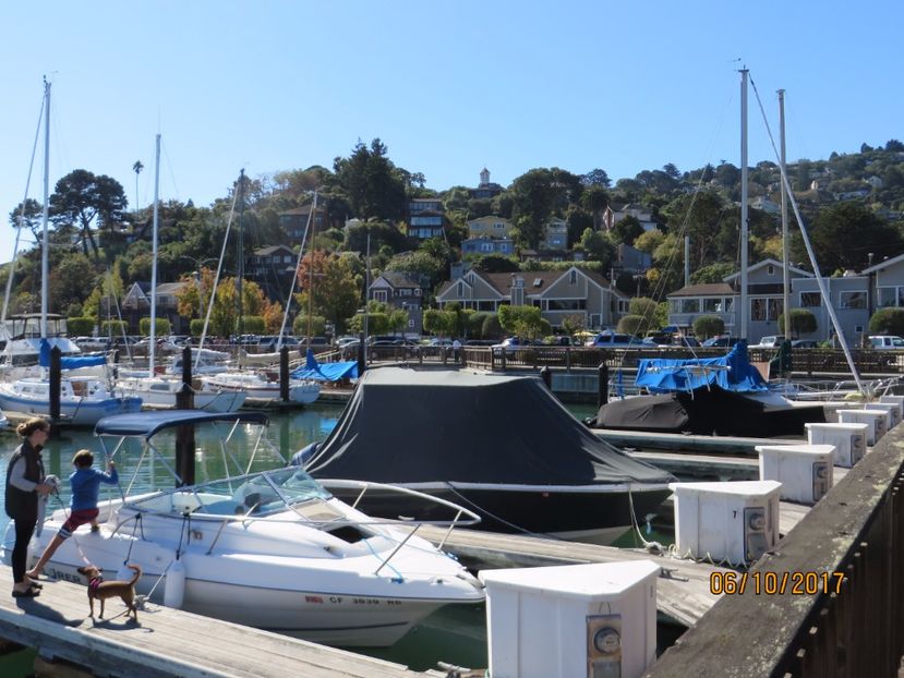  - SUA-Coasta de vest 2017_San Francisco_ Yosemite National Park _Las Vegas