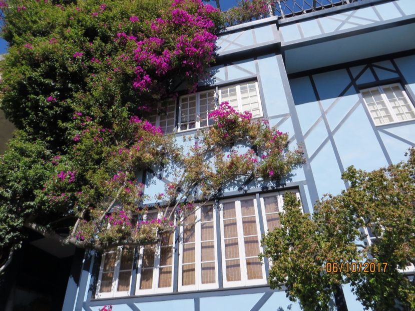  - SUA-Coasta de vest 2017_San Francisco_ Yosemite National Park _Las Vegas