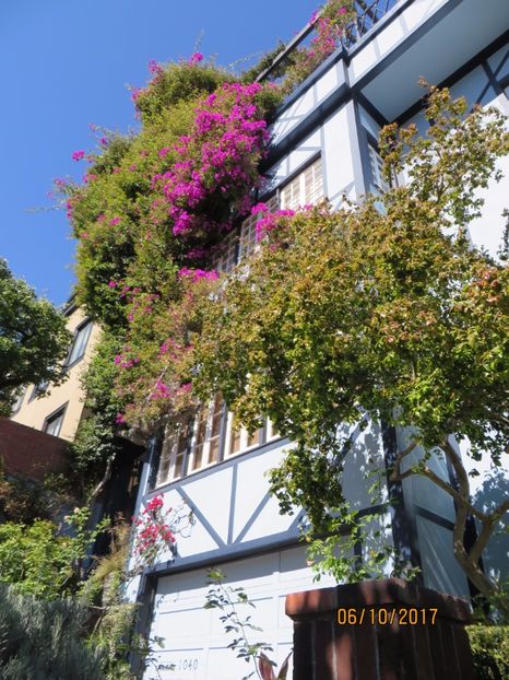  - SUA-Coasta de vest 2017_San Francisco_ Yosemite National Park _Las Vegas