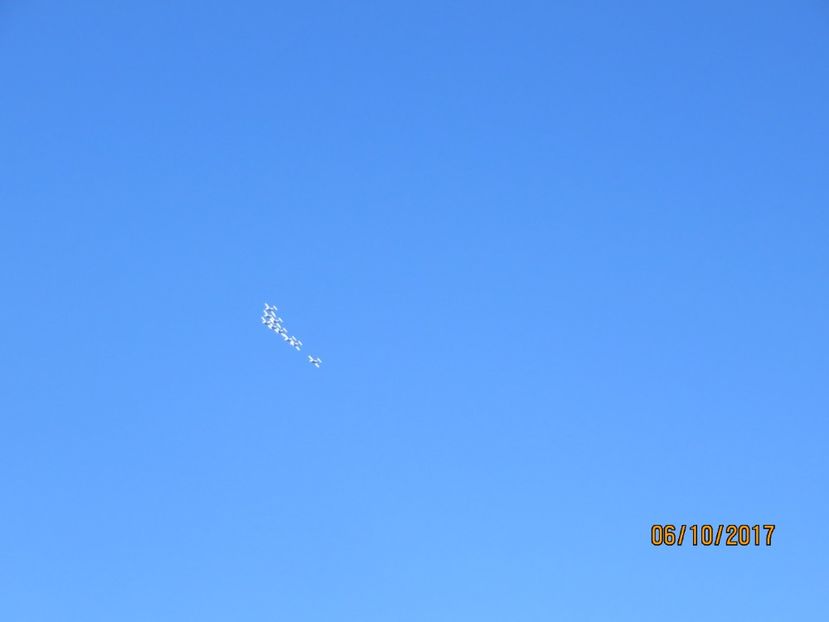  - SUA-Coasta de vest 2017_San Francisco_ Yosemite National Park _Las Vegas