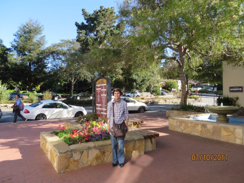  - SUA-Coasta de vest 2017_San Francisco_ Yosemite National Park _Las Vegas