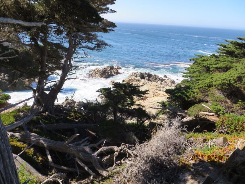  - SUA-Coasta de vest 2017_San Francisco_ Yosemite National Park _Las Vegas