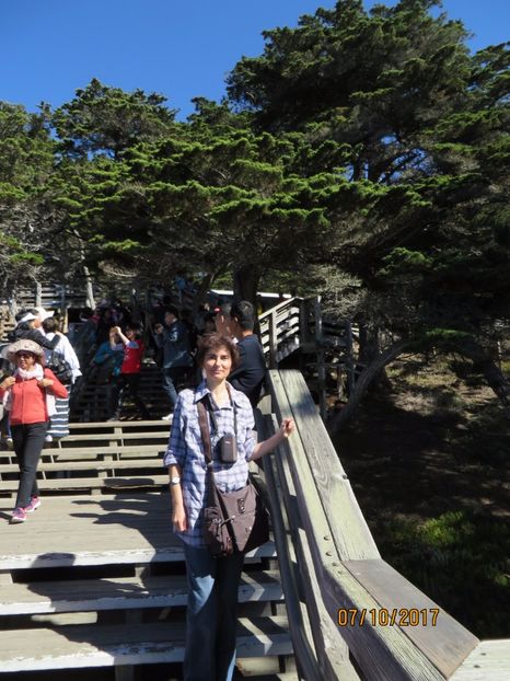  - SUA-Coasta de vest 2017_San Francisco_ Yosemite National Park _Las Vegas