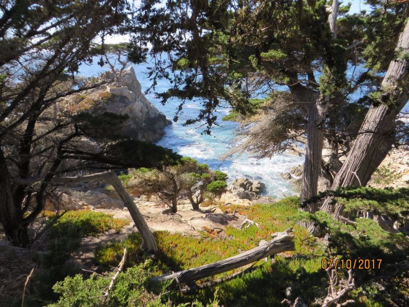  - SUA-Coasta de vest 2017_San Francisco_ Yosemite National Park _Las Vegas