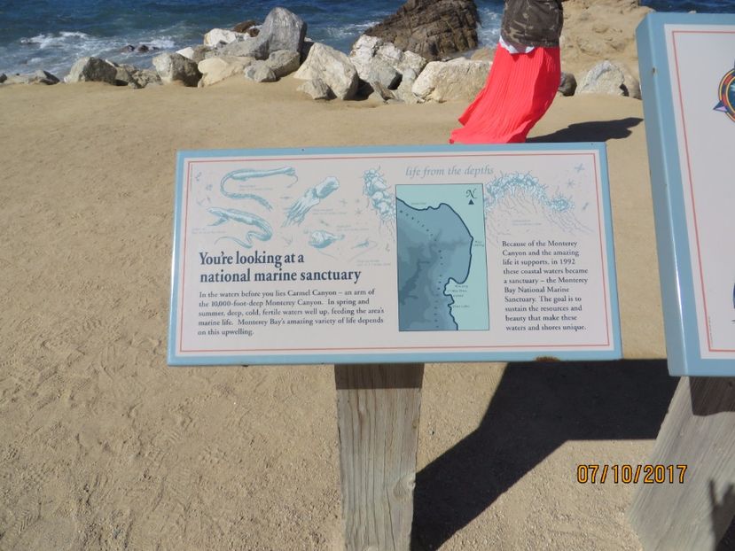  - SUA-Coasta de vest 2017_San Francisco_ Yosemite National Park _Las Vegas