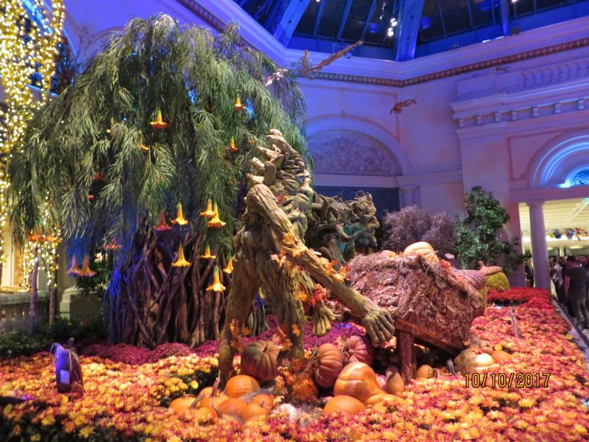  - SUA-Coasta de vest 2017_San Francisco_ Yosemite National Park _Las Vegas