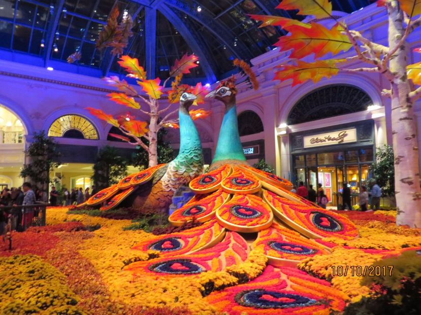  - SUA-Coasta de vest 2017_San Francisco_ Yosemite National Park _Las Vegas