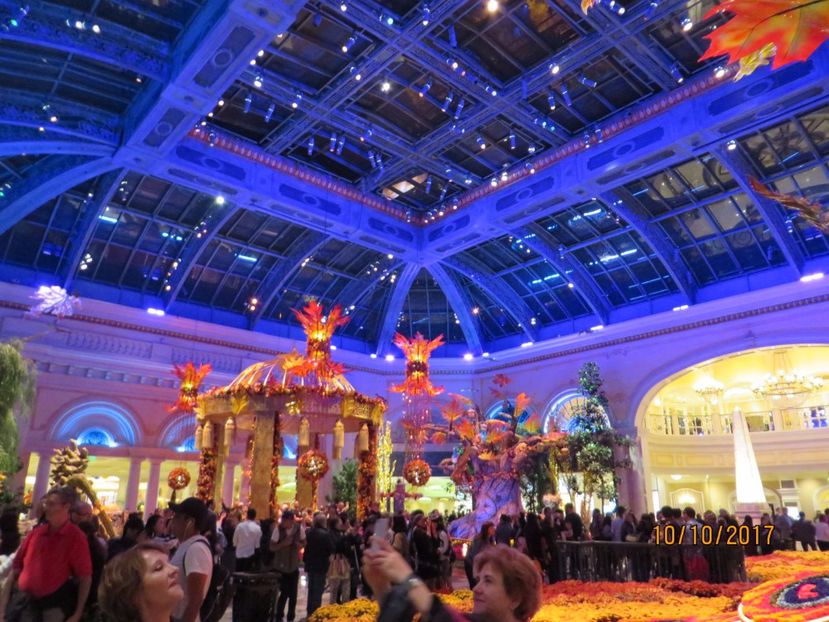  - SUA-Coasta de vest 2017_San Francisco_ Yosemite National Park _Las Vegas