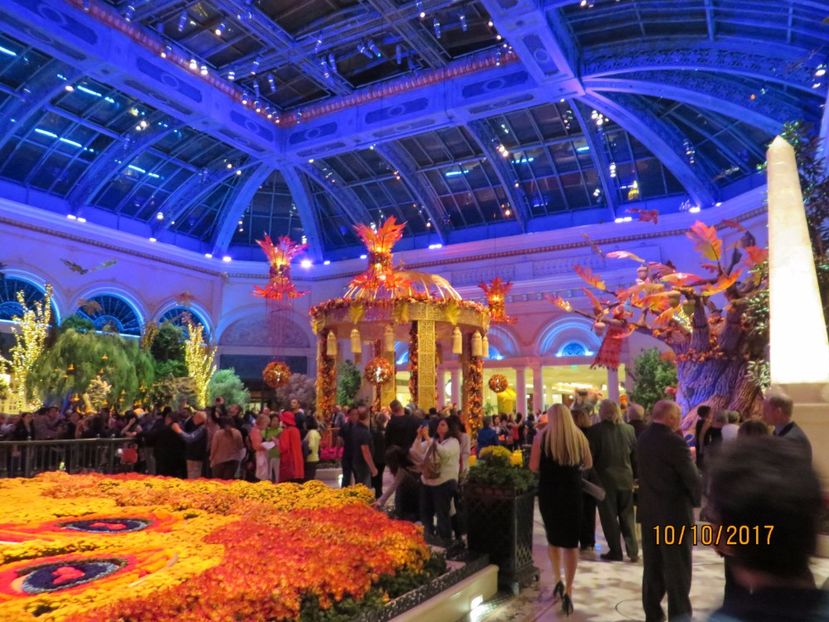  - SUA-Coasta de vest 2017_San Francisco_ Yosemite National Park _Las Vegas