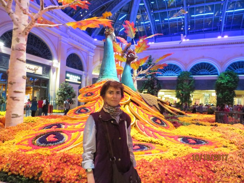  - SUA-Coasta de vest 2017_San Francisco_ Yosemite National Park _Las Vegas