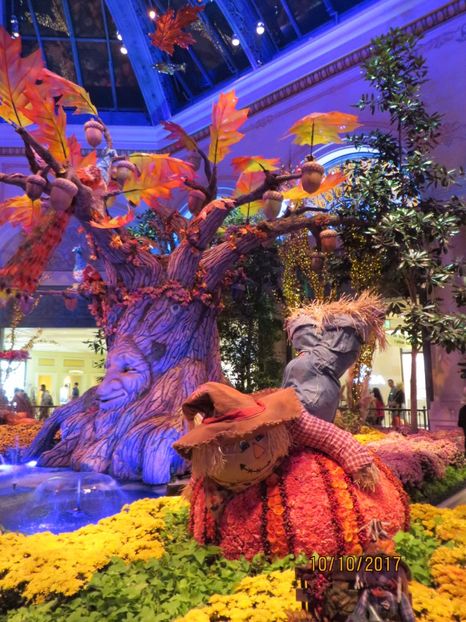  - SUA-Coasta de vest 2017_San Francisco_ Yosemite National Park _Las Vegas