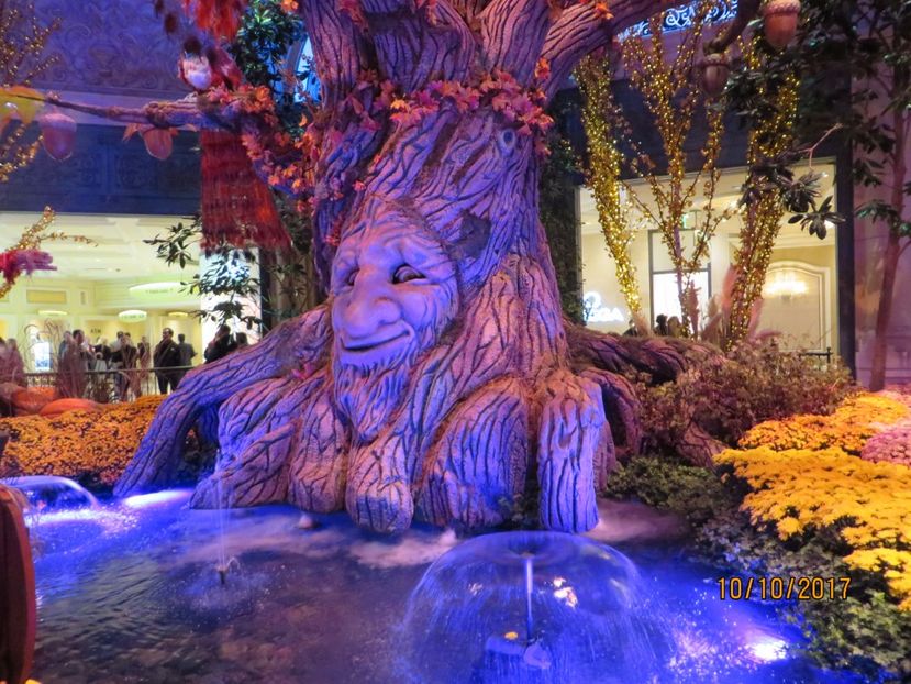  - SUA-Coasta de vest 2017_San Francisco_ Yosemite National Park _Las Vegas