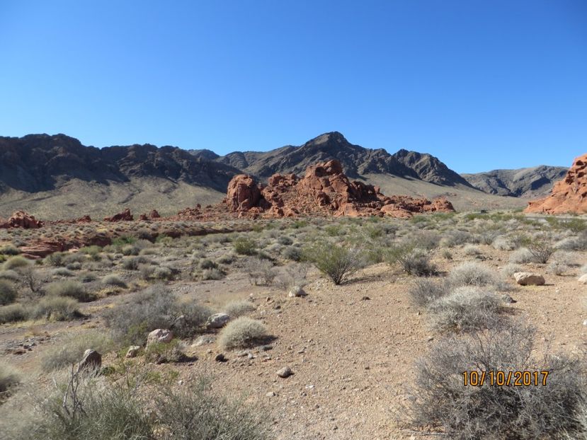  - SUA-Coasta de vest 2017_San Francisco_ Yosemite National Park _Las Vegas