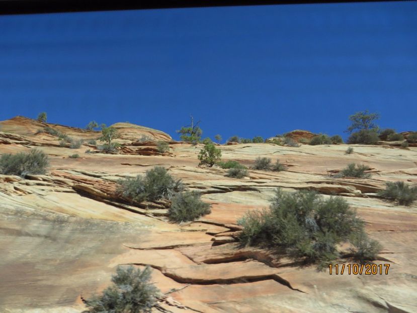  - SUA2_Valley of Fire_Zion National Park_Bryce Canyon_Grand Canyon