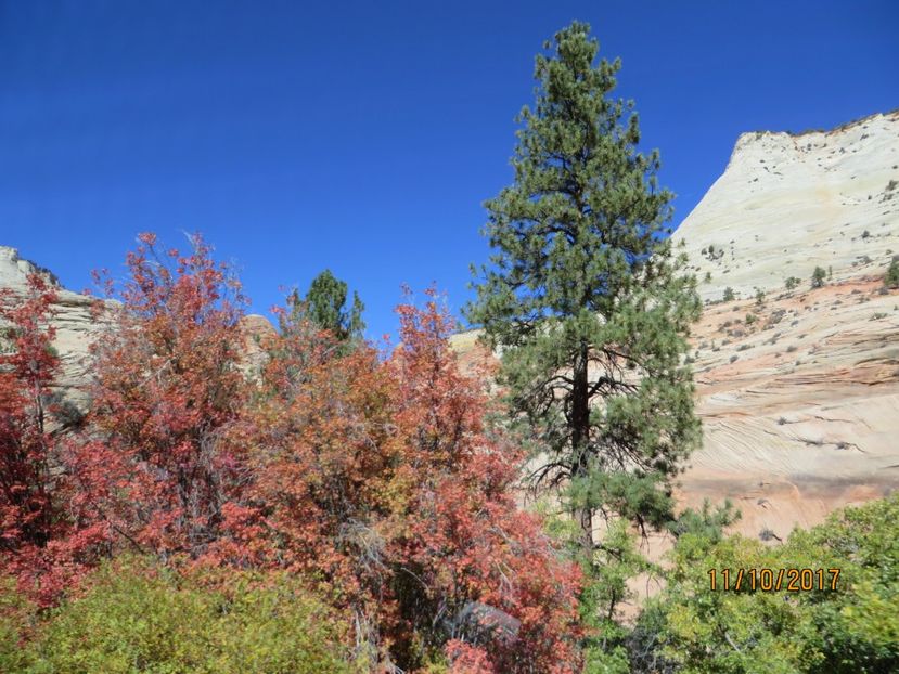  - SUA2_Valley of Fire_Zion National Park_Bryce Canyon_Grand Canyon