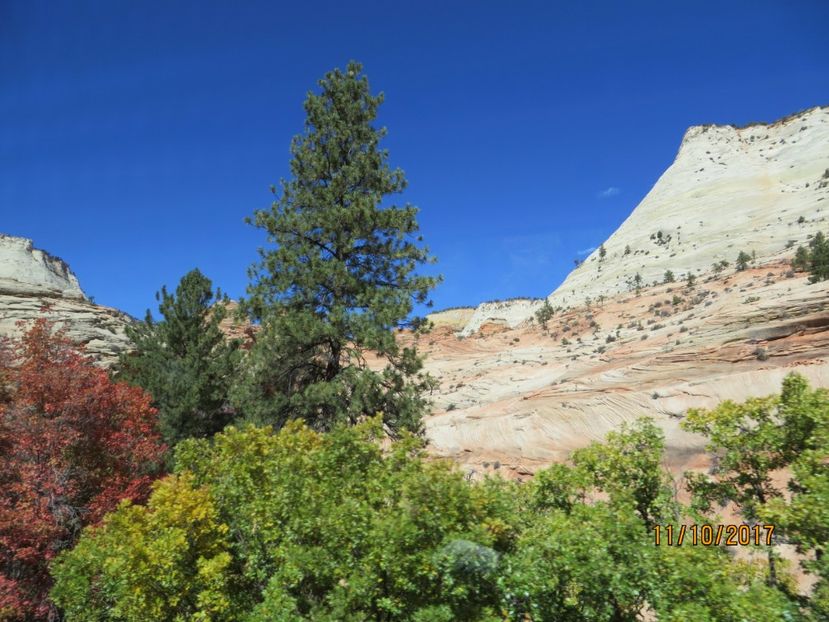  - SUA2_Valley of Fire_Zion National Park_Bryce Canyon_Grand Canyon