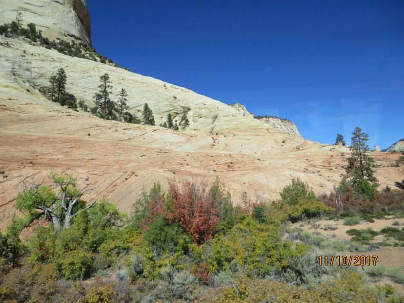  - SUA2_Valley of Fire_Zion National Park_Bryce Canyon_Grand Canyon