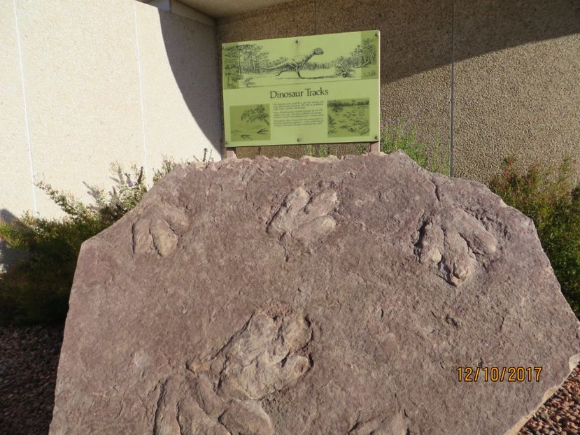  - SUA2_Valley of Fire_Zion National Park_Bryce Canyon_Grand Canyon