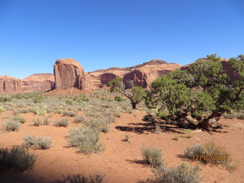  - SUA2_Valley of Fire_Zion National Park_Bryce Canyon_Grand Canyon