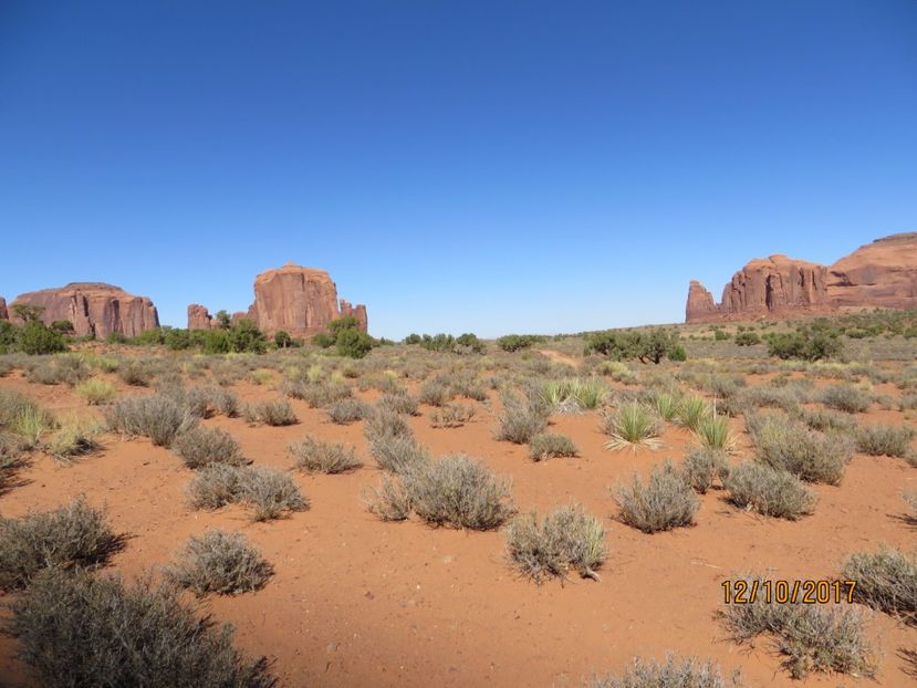  - SUA2_Valley of Fire_Zion National Park_Bryce Canyon_Grand Canyon