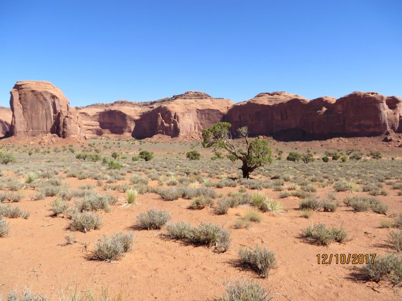  - SUA2_Valley of Fire_Zion National Park_Bryce Canyon_Grand Canyon
