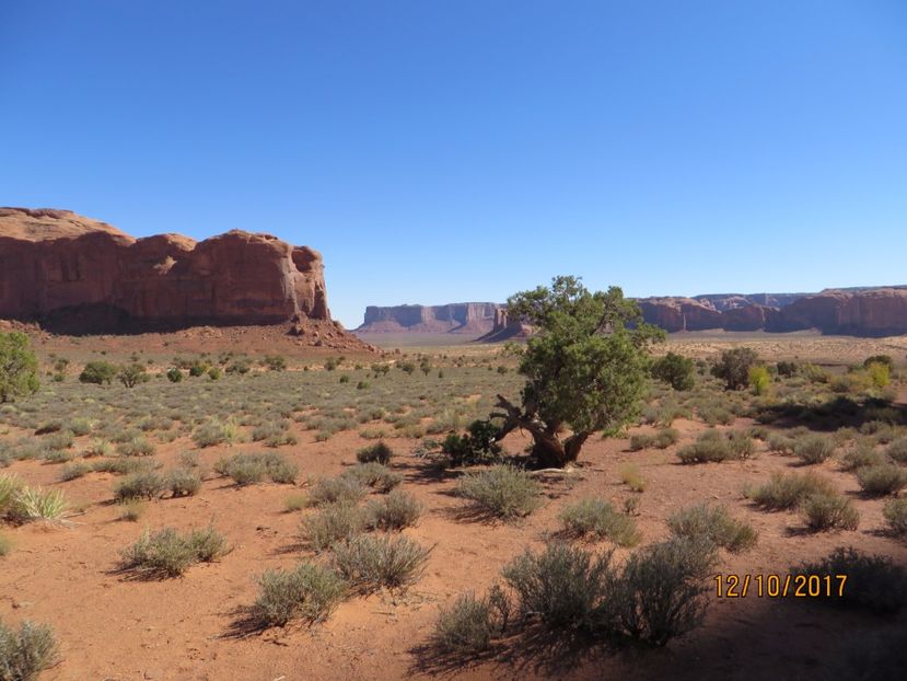  - SUA2_Valley of Fire_Zion National Park_Bryce Canyon_Grand Canyon