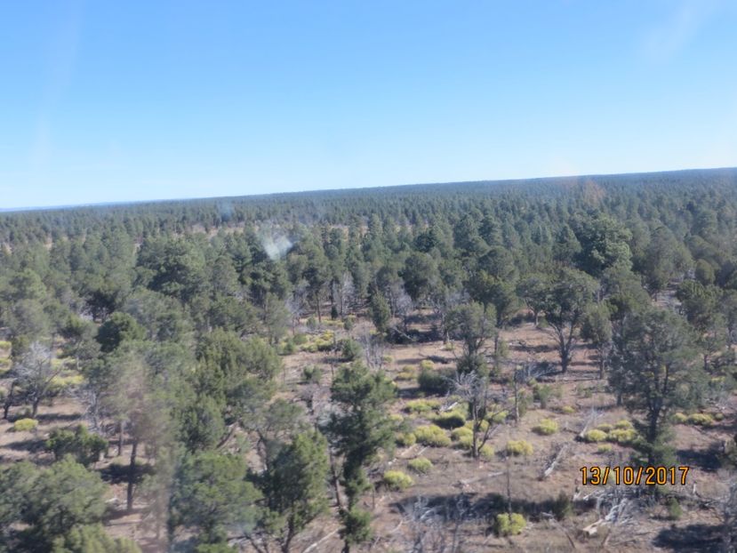  - SUA2_Valley of Fire_Zion National Park_Bryce Canyon_Grand Canyon