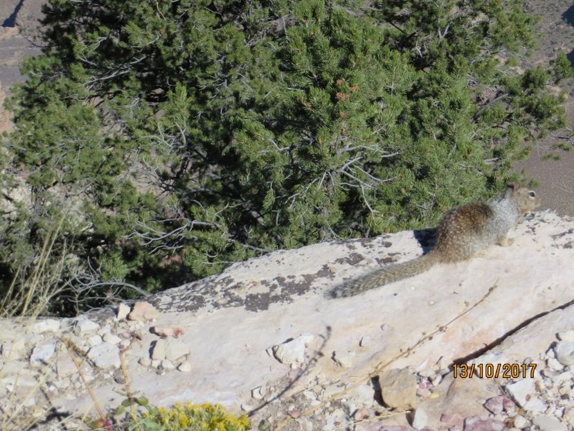  - SUA2_Valley of Fire_Zion National Park_Bryce Canyon_Grand Canyon