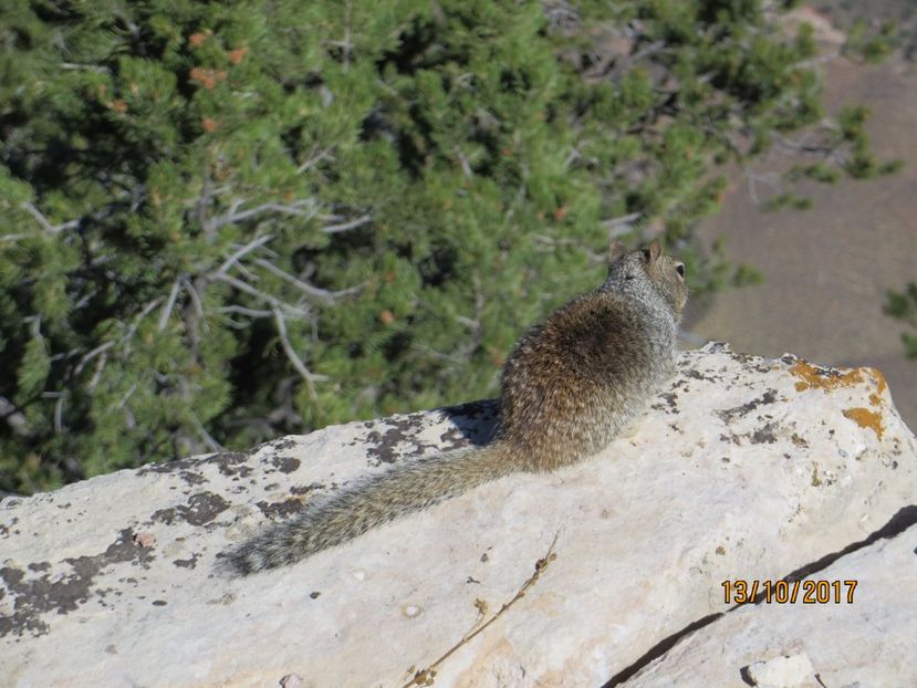  - SUA2_Valley of Fire_Zion National Park_Bryce Canyon_Grand Canyon